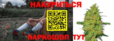 СК Краснодар