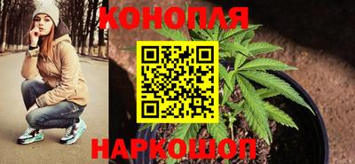 СК Краснодар