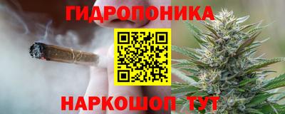 СК Краснодар