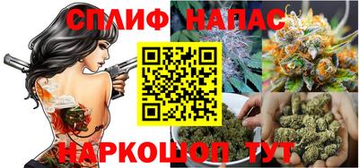 СК Краснодар