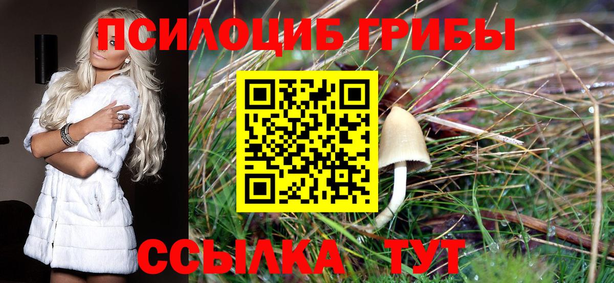 Елабуга  Псилоцибиновые грибы мицелий  Вход с VPN 